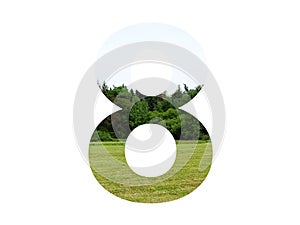 number 8 of the alphabet made with landscape with grass, forest and a blue sky