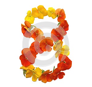 number 8 made of fresh, just picked, real flowers