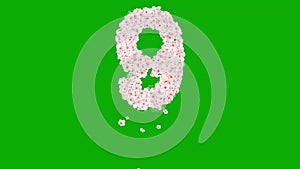 Number 9 with cherry flowers on green screen background