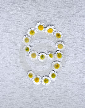 Number 9 of the daisy flower on a gray background