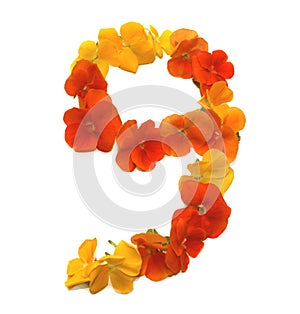 number 9 made of fresh, just picked, real flowers