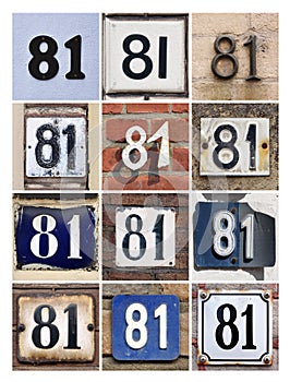 Number 81