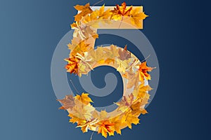 Number five made with autumn leaves isolated on blue
