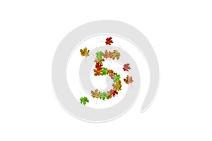 Number five made with autumn leaves isolated on white. Fall concept. Organic digits from 0 to 9