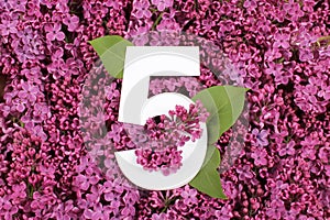 Number five shape on the purple Common Lilac Syringa vulgaris flowers background.