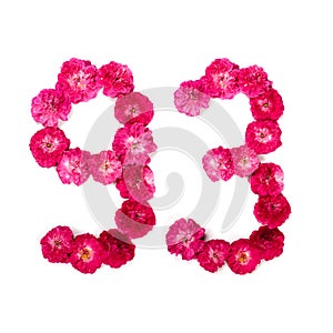 Number 93 from flowers of a red and pink rose on a white background. Typographic element for design.