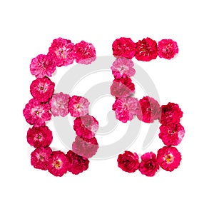 Number 65 from flowers of a red and pink rose on a white background. Typographic element for design.