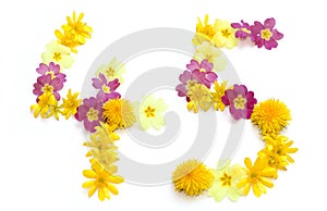 number forty-five 45, four 4 and five 5 made from freshly picked yellow and pink flowers.