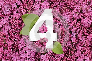 Number four shape on the purple Common Lilac Syringa vulgaris flowers background.