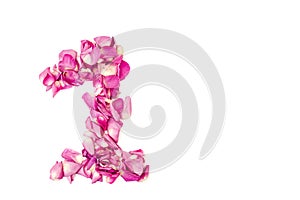 number 1 made from pink petals rose. Pink roses. Element for decoration.