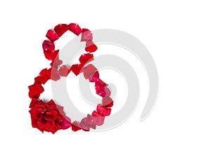 Number 8 made from red rose and petals on a white isolated background. Copy space