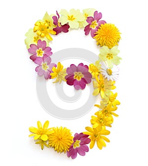 number nine 9 made from freshly picked yellow and pink flowers.