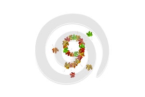 Number nine made with autumn leaves isolated on white. Fall concept. Organic digits from 0 to 9