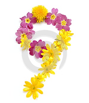 number nine made from freshly picked yellow and pink flowers.