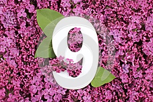 Number nine shape on the purple Common Lilac Syringa vulgaris flowers background.