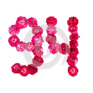 Number 94 from flowers of a red and pink rose on a white background. Typographic element for design.