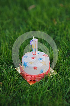 Number one birthday candle on cupcake with stars on a green grass