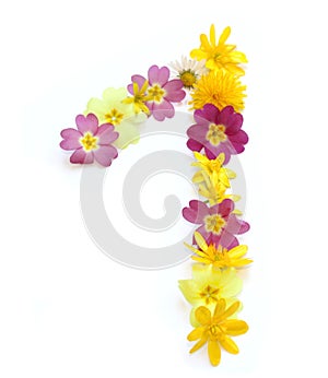 number one made from freshly picked yellow and pink flowers.