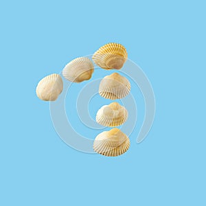 Number one from sea shells isolated on tender light blue background