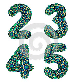 Number set 2, 3, 4, 5 made of realistic 3d render golden shining metallic. Collection of gold shining metallic with