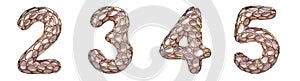 Number set 2, 3, 4, 5 made of realistic 3d render golden shining metallic. Collection of gold shining metallic with pink