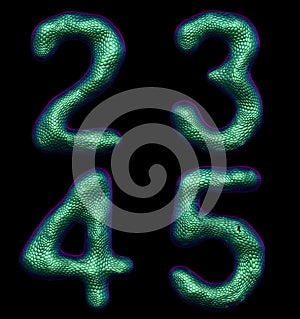 Number set 2, 3, 4, 5 made of realistic 3d render green color. Collection of natural snake skin texture style symbol