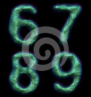 Number set 6, 7, 8, 9 made of realistic 3d render green color. Collection of natural snake skin texture style symbol