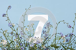 Number seven among blue flowers on blue background. Birthday, anniversary, jubilee concept