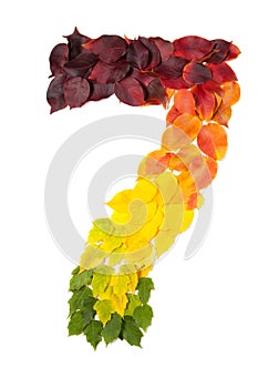 Number seven made with autumn leaves isolated on white.