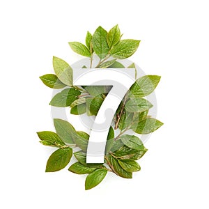 Number seven shape with green leaves. Nature concept. Flat lay. Top view