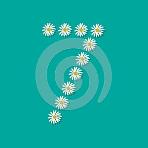 Number seven from white chamomile flowers.