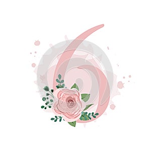 Number six decorated with pink rose, leaves and watercolor splash isolated on white background