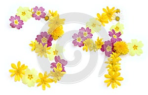 number thirty four 34, three 3 and four 4 made from freshly picked yellow and pink flowers.