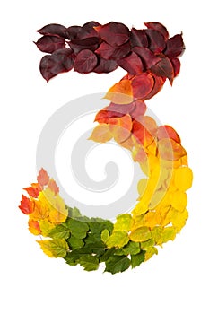 Number three made with autumn leaves isolated on white.