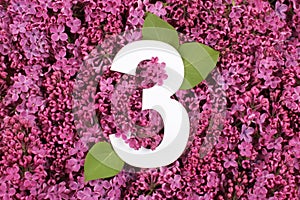 Number three shape on the purple Common Lilac Syringa vulgaris flowers background.