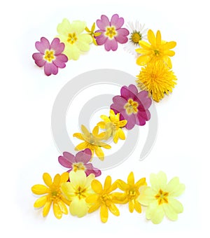 number two made from freshly picked yellow and pink flowers.