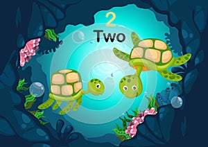 Number two tortoise under the sea vector