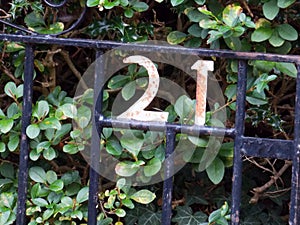 Number 21, in a wrought iron gate surrounded by green leaves photo