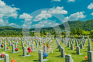 Numbered headstones with colorful flowers