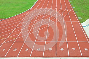 Numbered Running Track Lanes photo