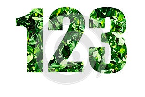 Numbers 1 2 3 from green grass isolated on white background. Elements for your design