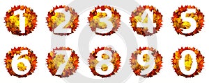 Numbers of autumn leaves isolated on white background. Set of numbers made of autumn leaves