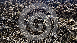 numbers of bamboo with a special pattern