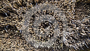 Numbers of bamboo with a special pattern