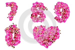 Numbers 7 8 9 0 decorated with flowers of pink Phalaeonopsis orchids