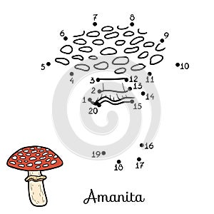 Numbers game. Inedible mushrooms, amanita photo