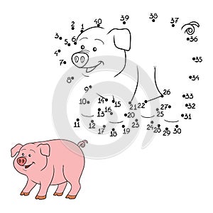 Numbers game (pig) photo