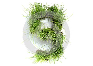 Numbers made of grass