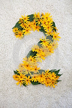 Numbers made of leaves and yellow flowers