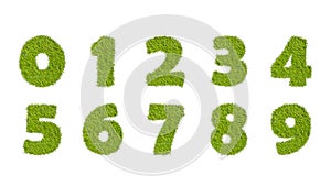 Números colocar césped verde en blanco 